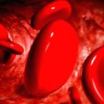 Your Blood’s Amazing Journey: How it Works