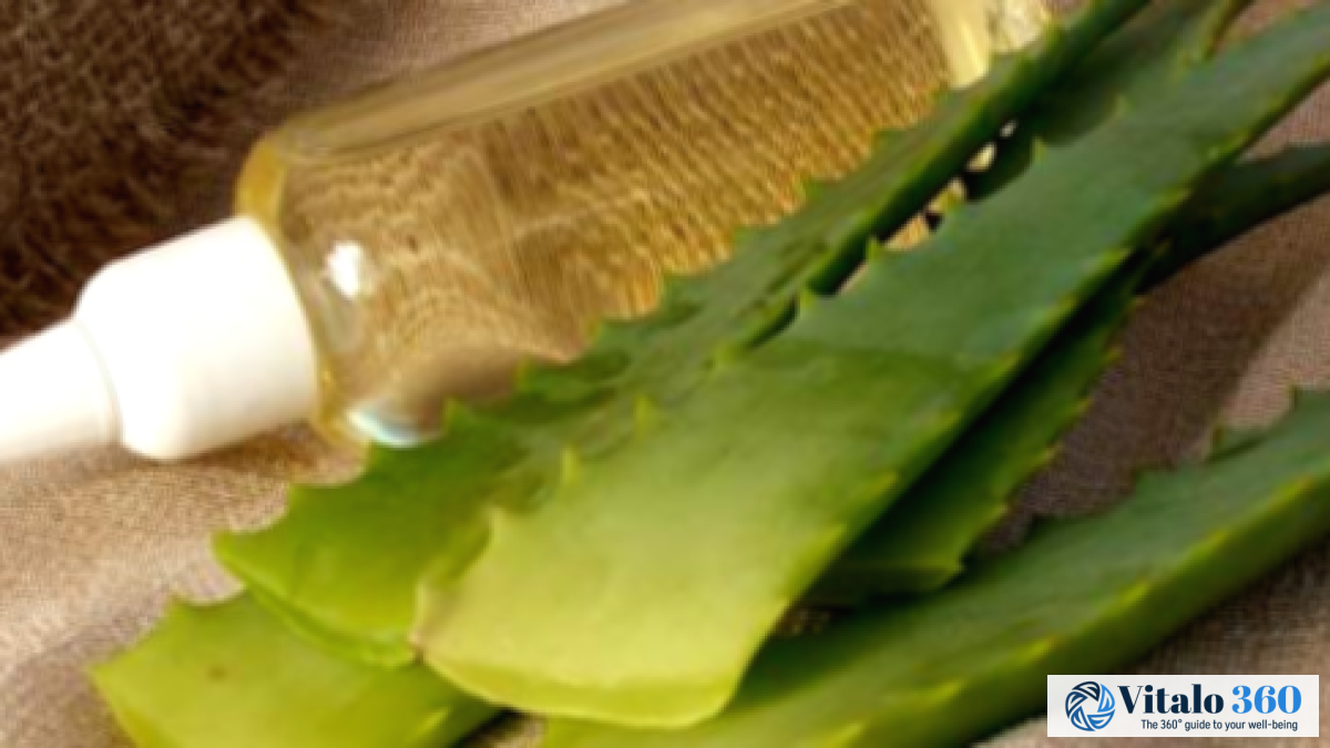 Aloe Vera Oil: Beauty Benefits You Need to Know