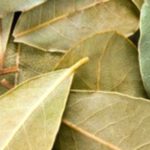Bay Leaves: Surprising Health Benefits You Should Know