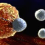 Deadliest Cancers: A Prioritized List Deadliest Cancers: A Prioritized List