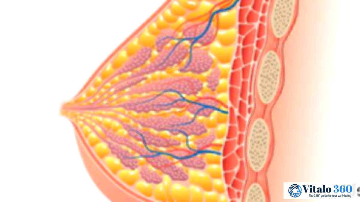 Dense Breast Tissue: What It Means for Your Health Dense Breast Tissue: What It Means for Your Health