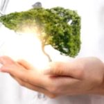 Best Foods for a Healthy Liver: What to Eat