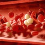 Blood Basics: Key Functions & What You Need to Know
