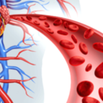 Boost Red Blood Cells: Proven Methods to Know