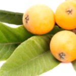 Loquat Leaf: 5 Amazing Health Benefits Loquat Leaf: 5 Amazing Health Benefits