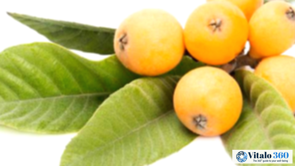 Loquat Leaf: 5 Amazing Health Benefits