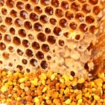Pollen Power: Is It Truly a Superfood? Pollen Power: Is It Truly a Superfood?