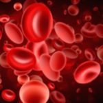 Your Complete Guide to Understanding Blood Disorders Your Complete Guide to Understanding Blood Disorders