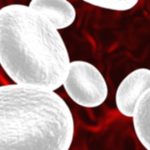 11 Proven Ways to Boost Your White Blood Cell Count 11 Proven Ways to Boost Your White Blood Cell Count