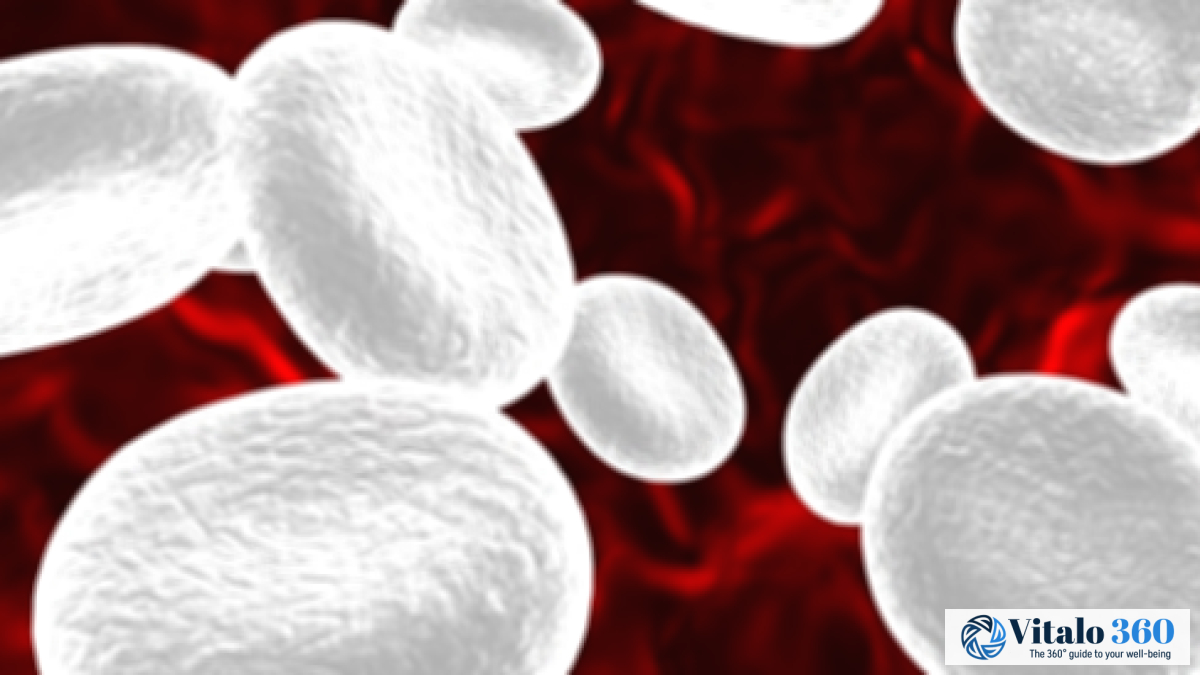 11 Proven Ways to Boost Your White Blood Cell Count