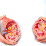 7 Daily Habits That May Harm Your Kidneys 7 Daily Habits That May Harm Your Kidneys