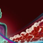 Triglycerides: What You Should Know About Them